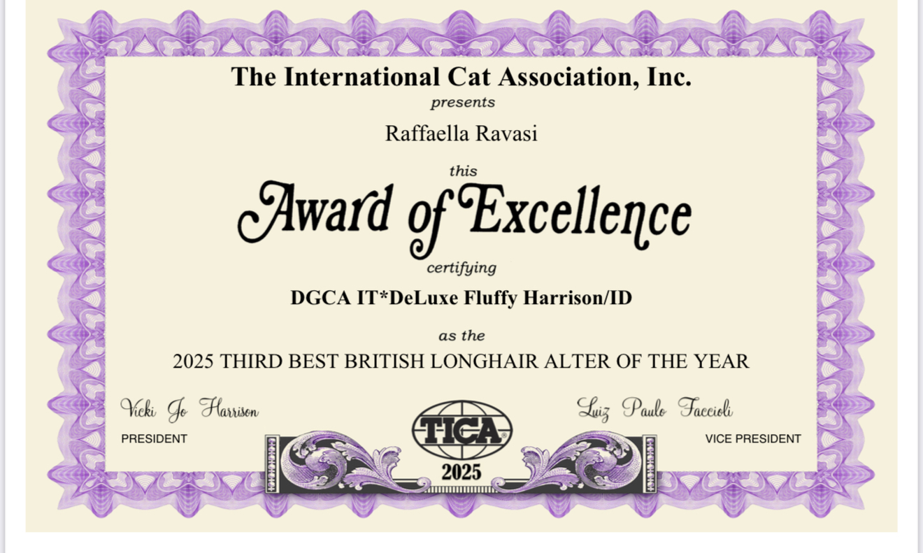 Certificato 4