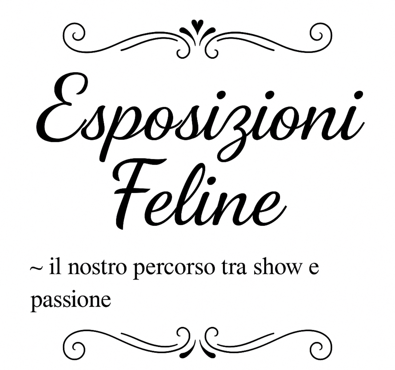 Come scegliere l’allevamento giusto – DeLuxe Fluffy Cattery