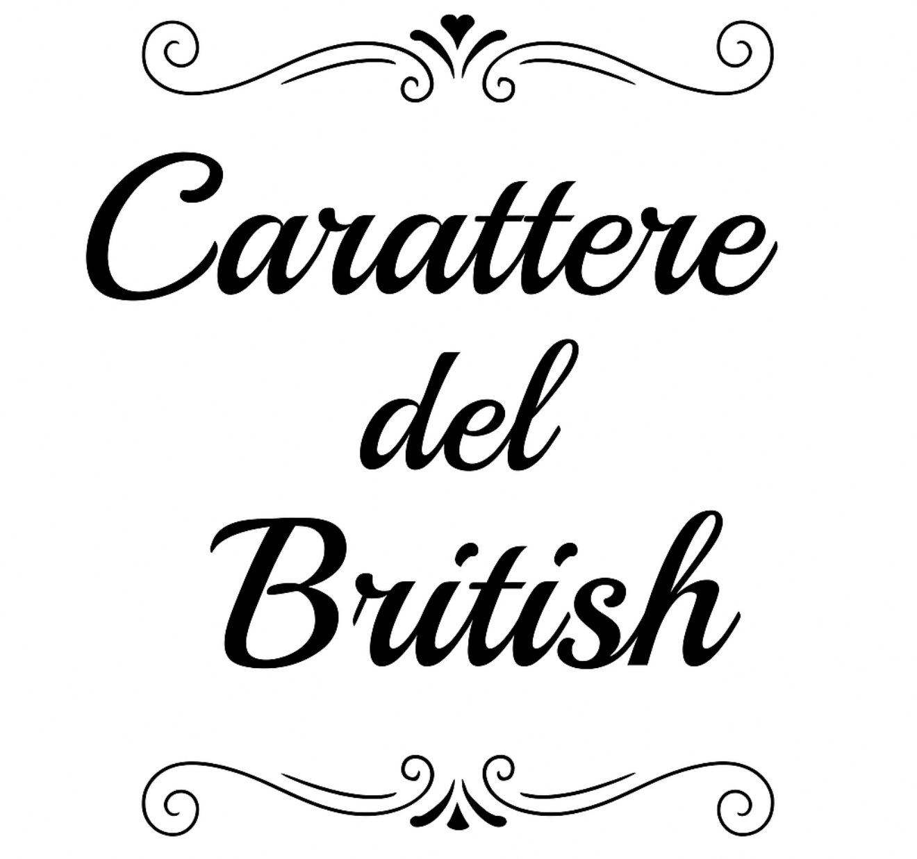 Sezione British Longhair – DeLuxe Fluffy Cattery