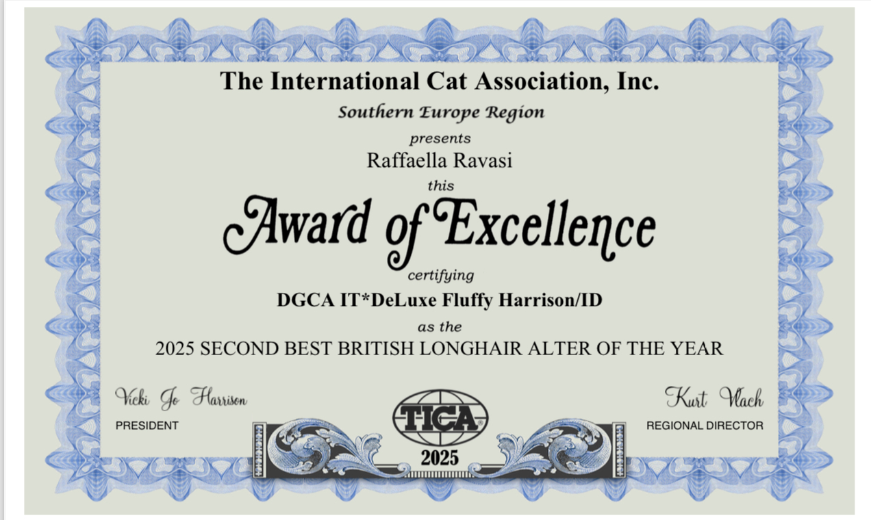 Certificato 1